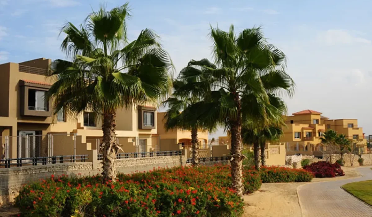 بالم هيلز جولف فيوز Golf Views - صورة 1