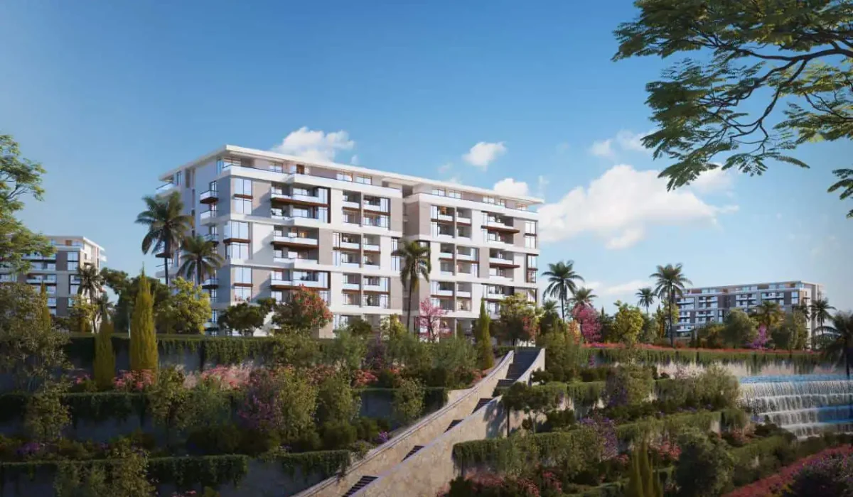 نول التجمع السادس - Noll New Cairo